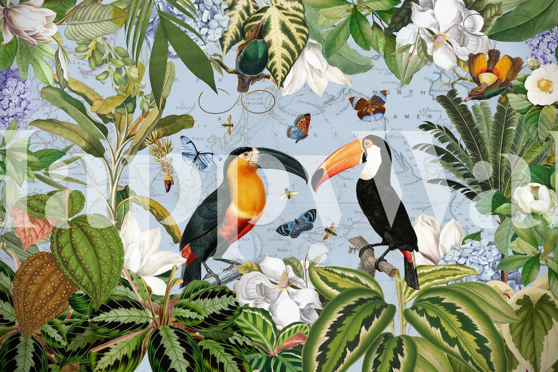 Exotic Toucan Adventure i ett stiligt rum