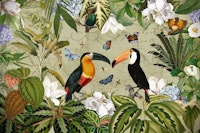 Exotic Toucan Adventure 1 papiers peint