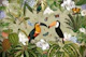 Exotic Toucan Adventure 1