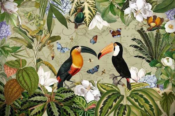Exotic Toucan Adventure 1