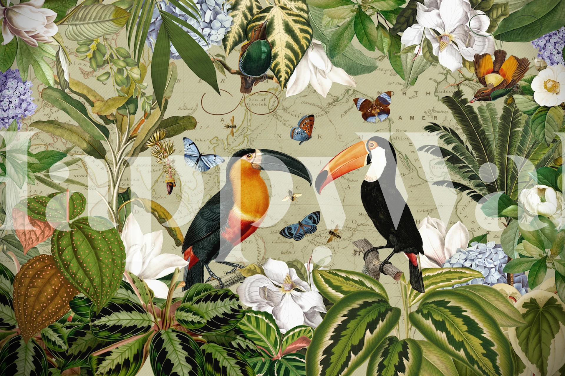 Zidna slika Exotic Toucan Adventure sa šarenim tukanima i tropskim lišćem