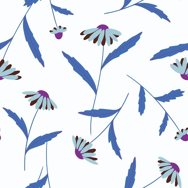 Carolina white and blue