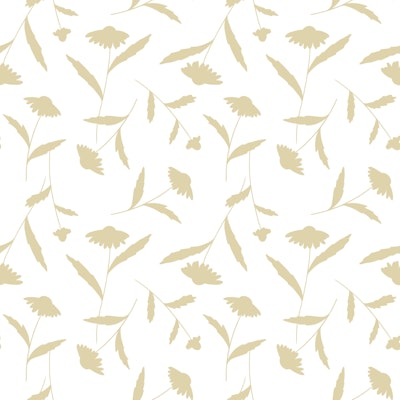 Modello