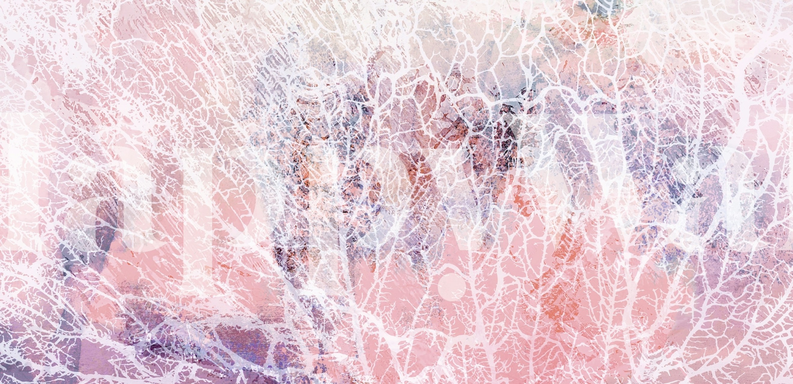 Papier peint Soft Coral Reef Sunrise dans une pièce