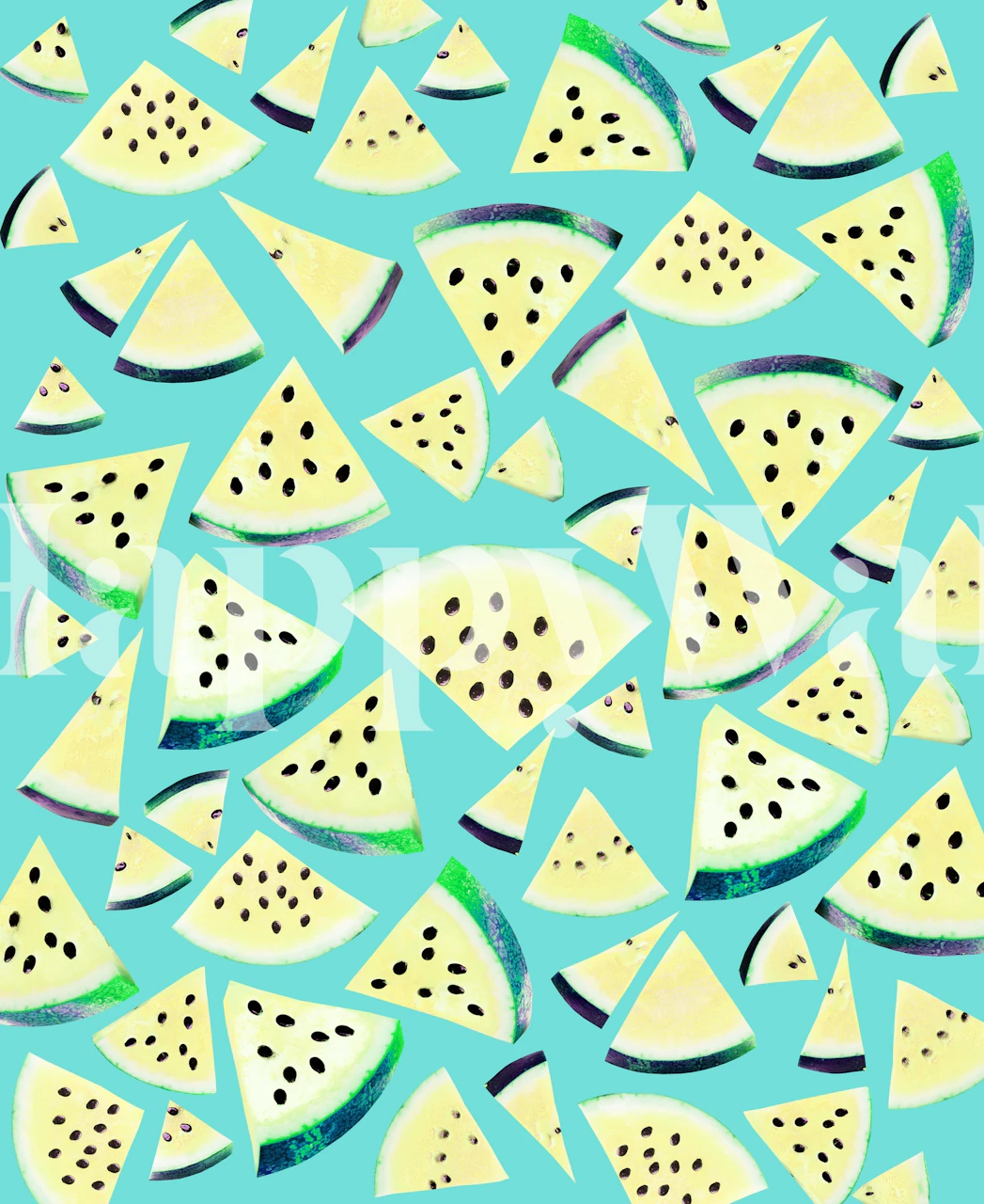 Colorful watermelon slices on turquoise background wallpaper