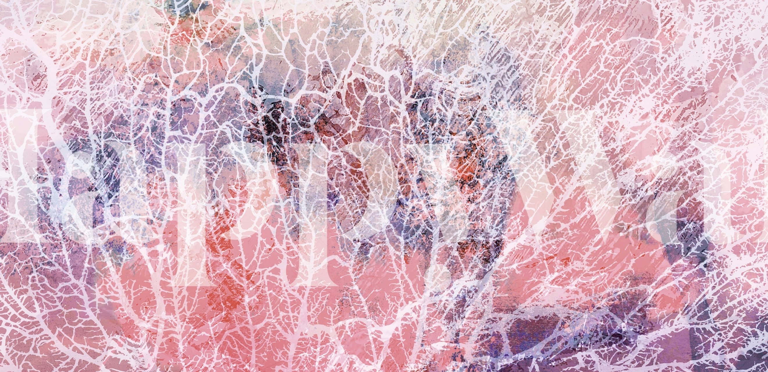 Coral Sunrise Reef wall mural with pink and peach tones