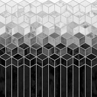 Black and White Gradient Cubes tapet
