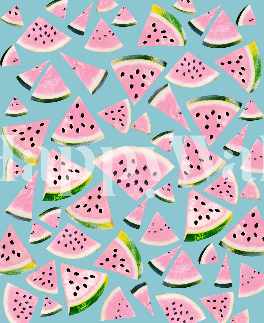 Kleurrijke watermeloenplakken op een blauwe achtergrondmuurschildering