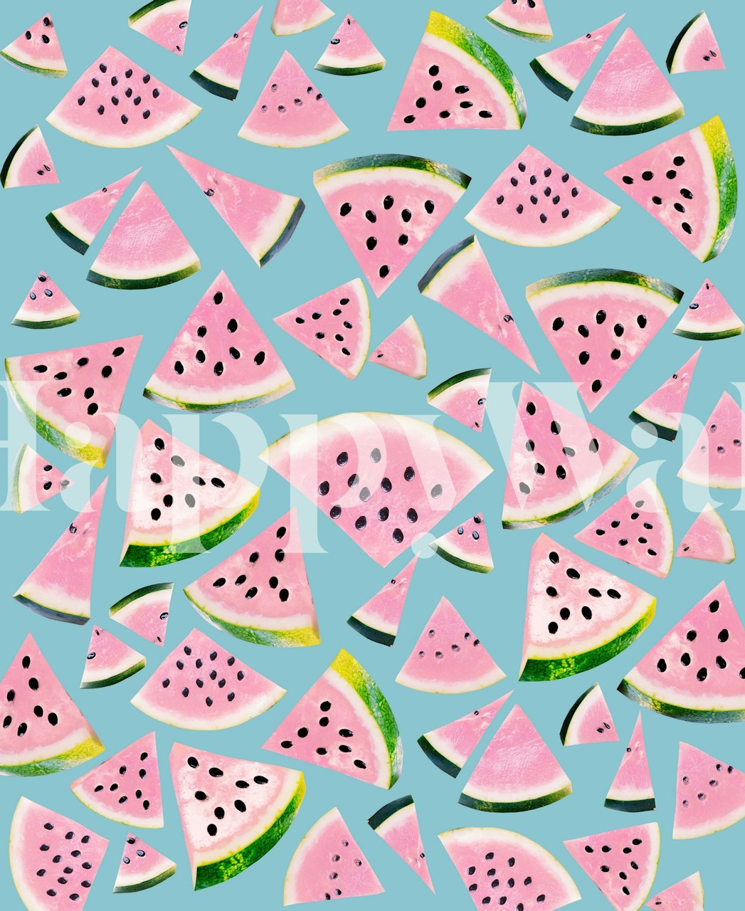 Värikkäitä vesimeloniviipaleita sinisellä taustalla seinämaalauksessa