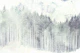 Asian Pine Forest Mist