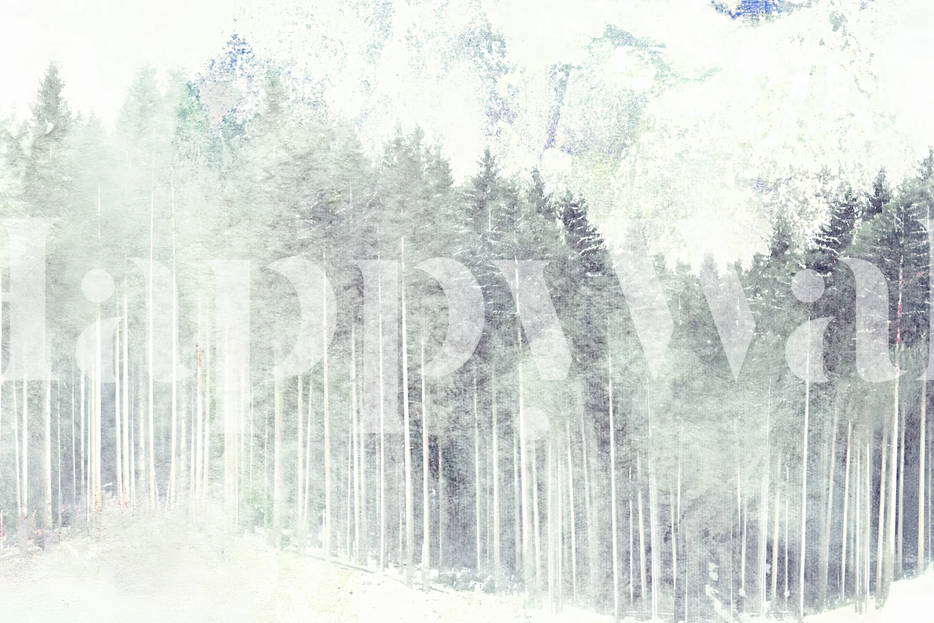 Asian Pine Forest Mist wallpaper in a room