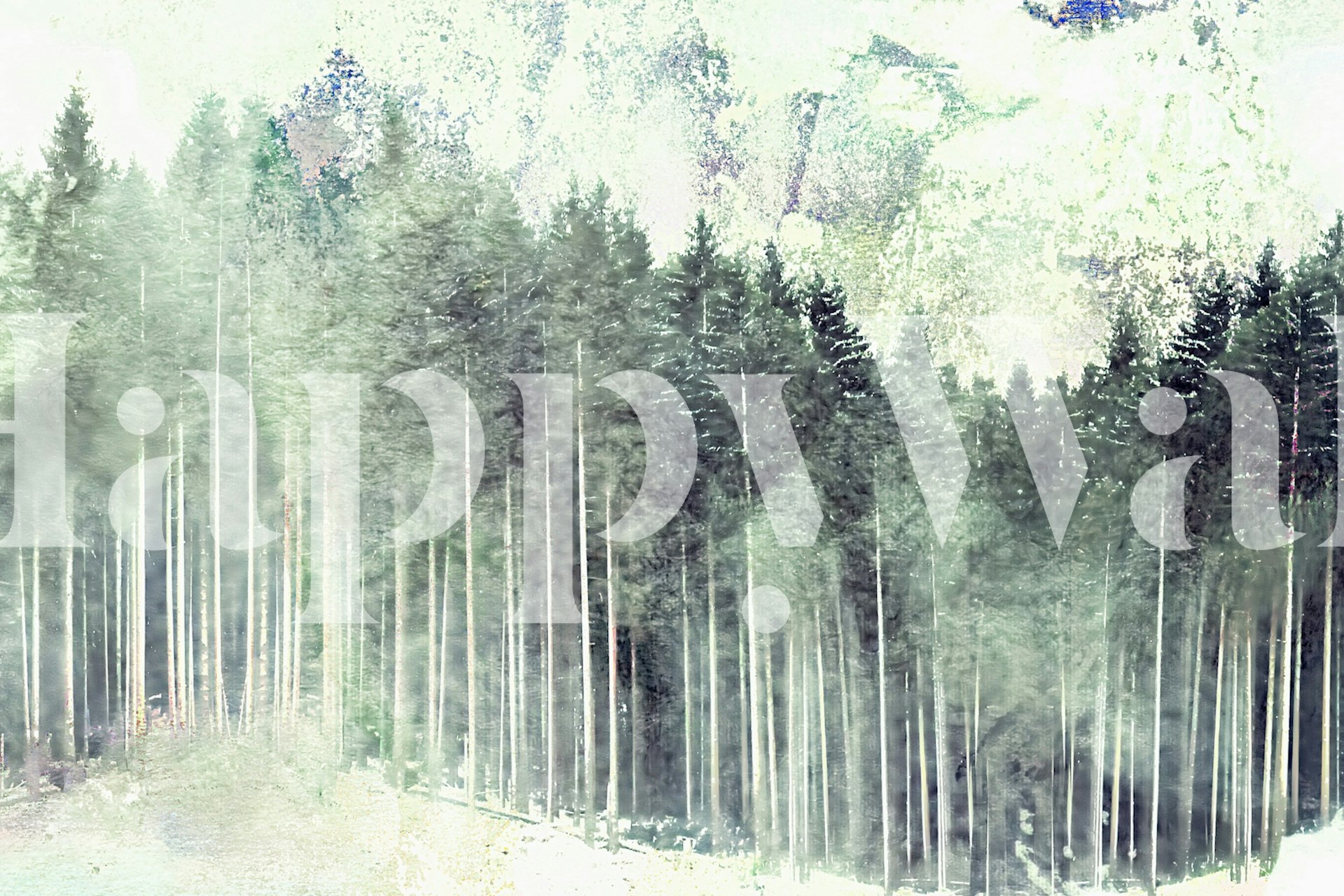 Tall pine trees with soft green hues and subtle watercolors wallpaper