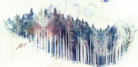 Misty Pine Forest Canvas papiers peint