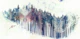 Misty Pine Forest Canvas