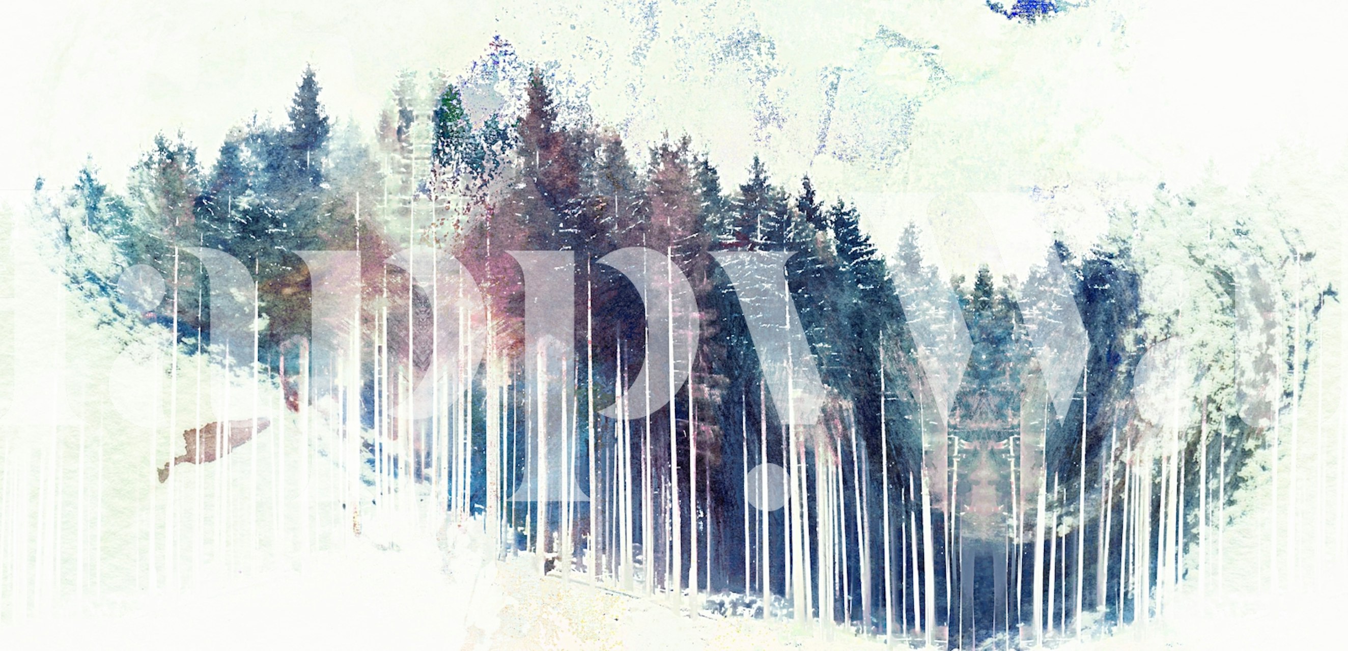 Misty Pine Forest Canvas v pokoji