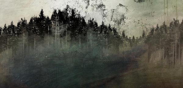 Nordic Dream Pine Forest Ink Grunge