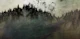 Nordic Dream Pine Forest Ink Grunge