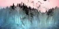 Teal Pink Dream Forest Grunge Ink Sunrise tapete