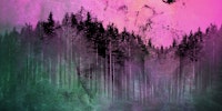 Magenta Corall Dream Forest Grunge wallpaper