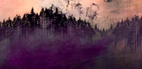 Magenta Corall Dream Forest Grunge wallpaper