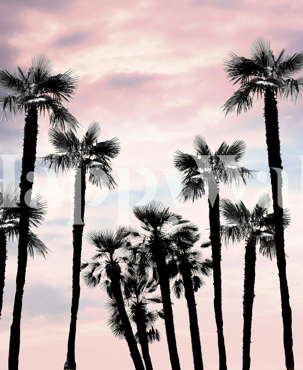 Tropical palm trees papel de parede no quarto