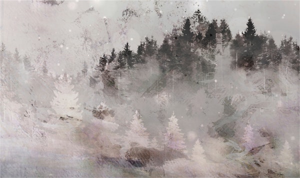 Swedish Forest Mist Landscape Ink Grey