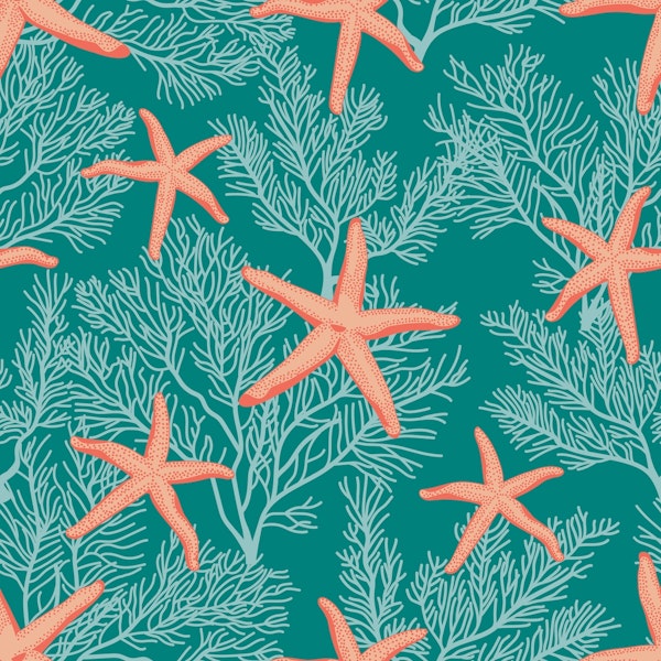 Starfishes and subtle corals