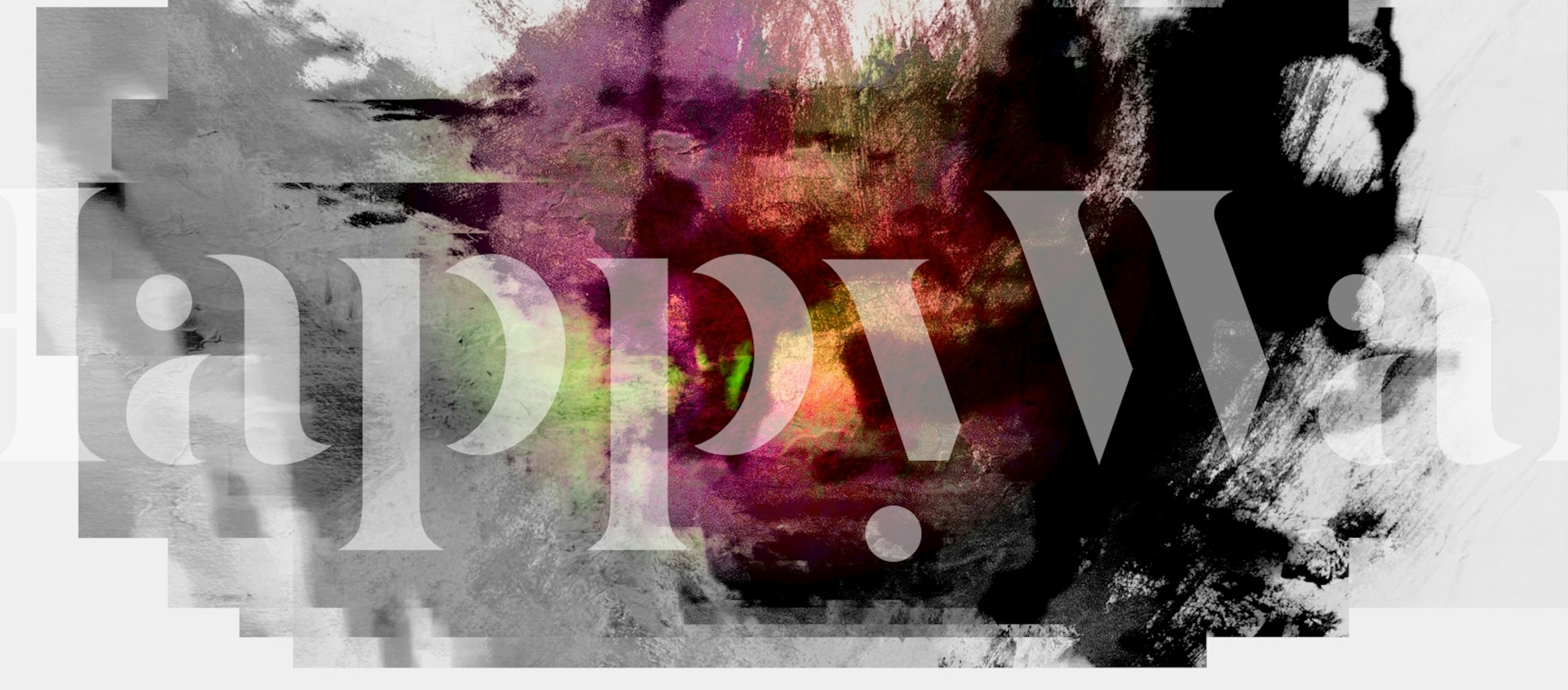 Japanese Cosmos Dream Ink wallpaper in a room