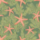 Starfishes on seaweed green