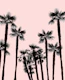Tropical Palm Trees Dream 3