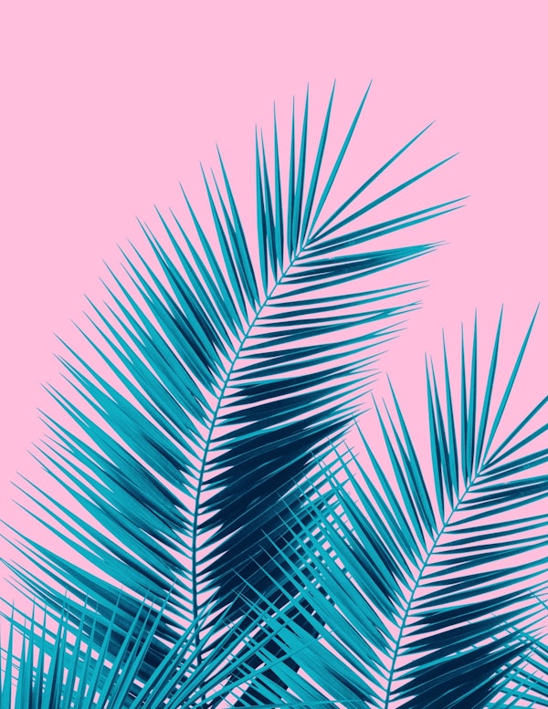 Pink Blue Palm Leaves Dream  1