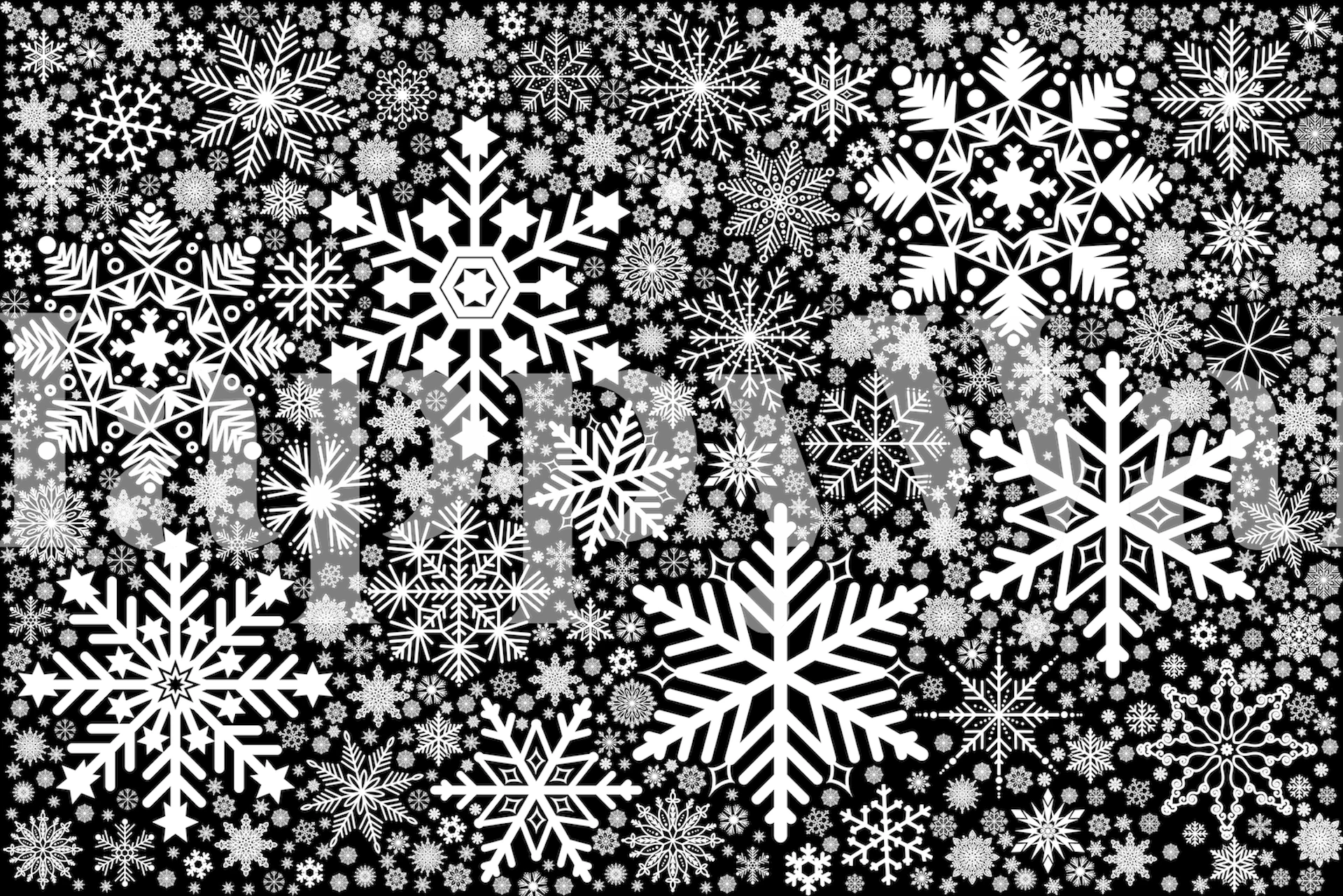 Black and white snowflakes pattern wall mural