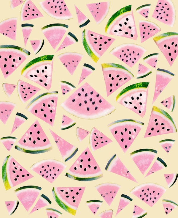 Watermelon Twist Vibes 6