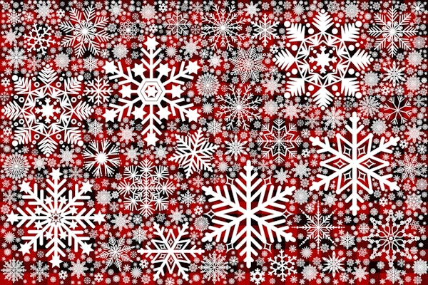 Snowflakes Design on Tartan Background 3