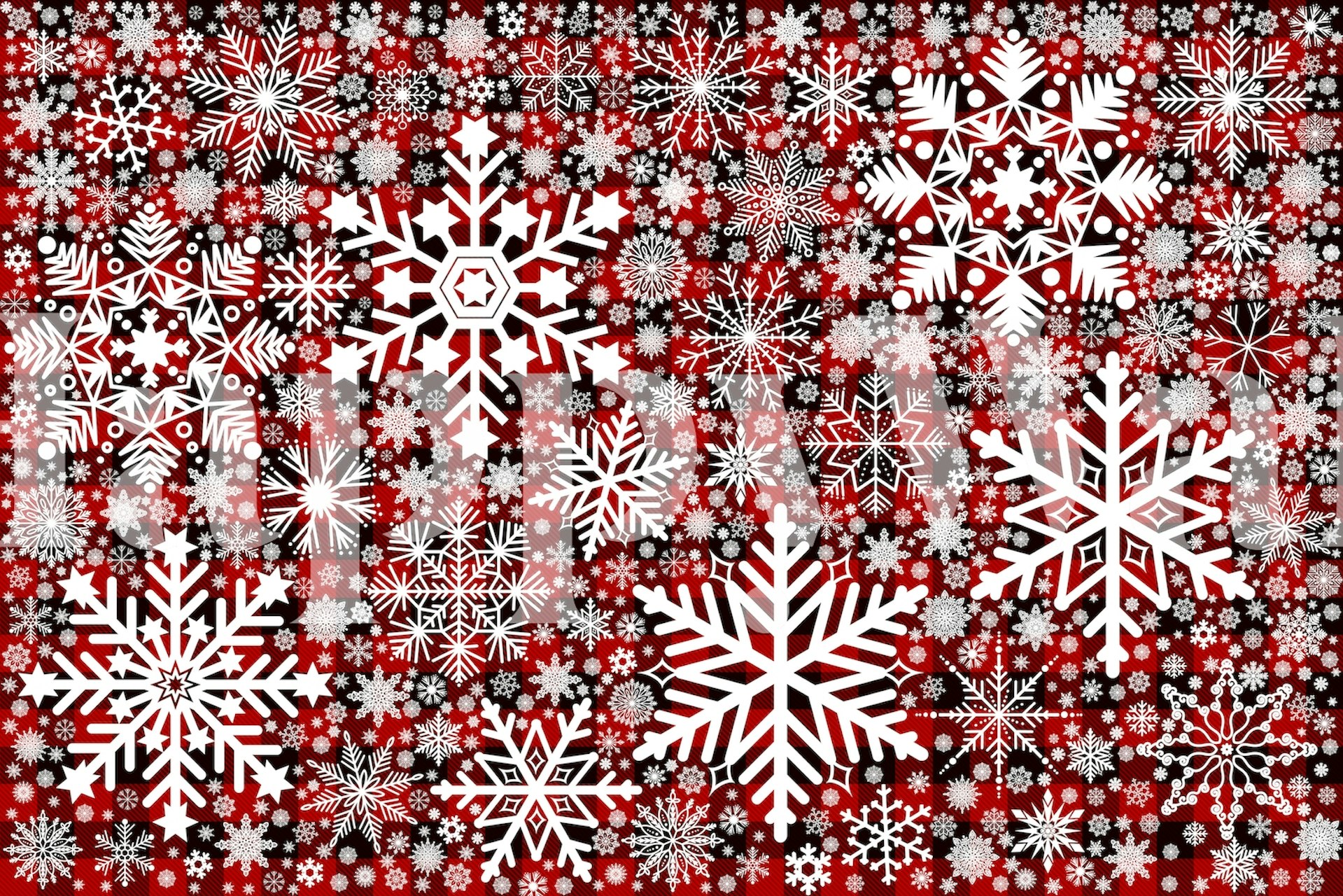 Snowflakes design wallpaper in a room