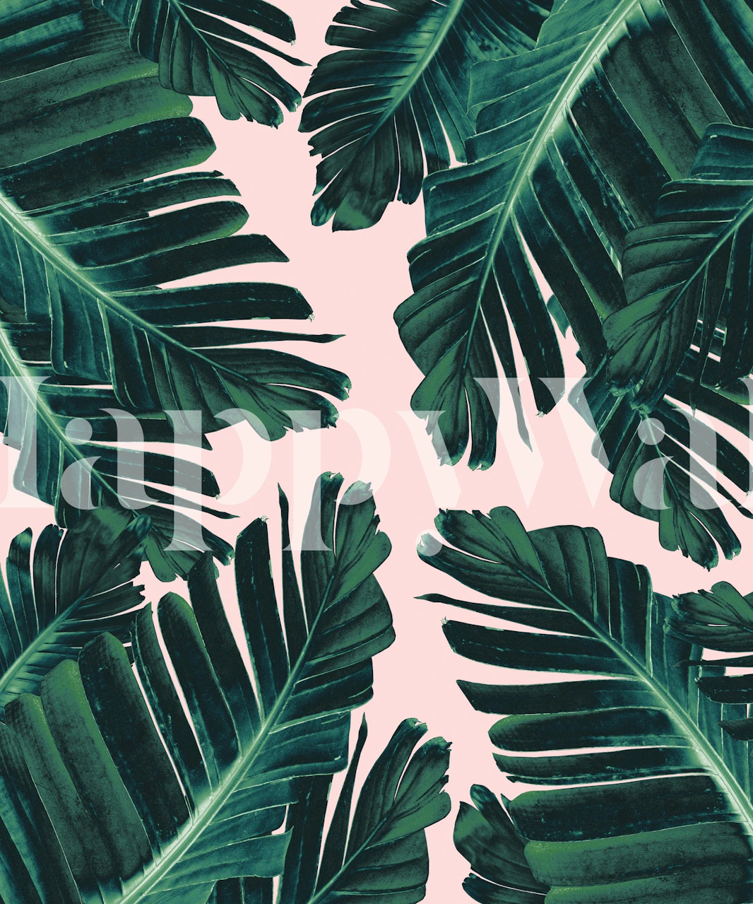 Tropical Blush Banana Leaves tapet i ett rum