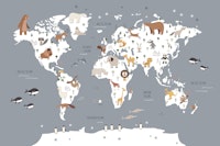 World Map mural for kids carta da parati