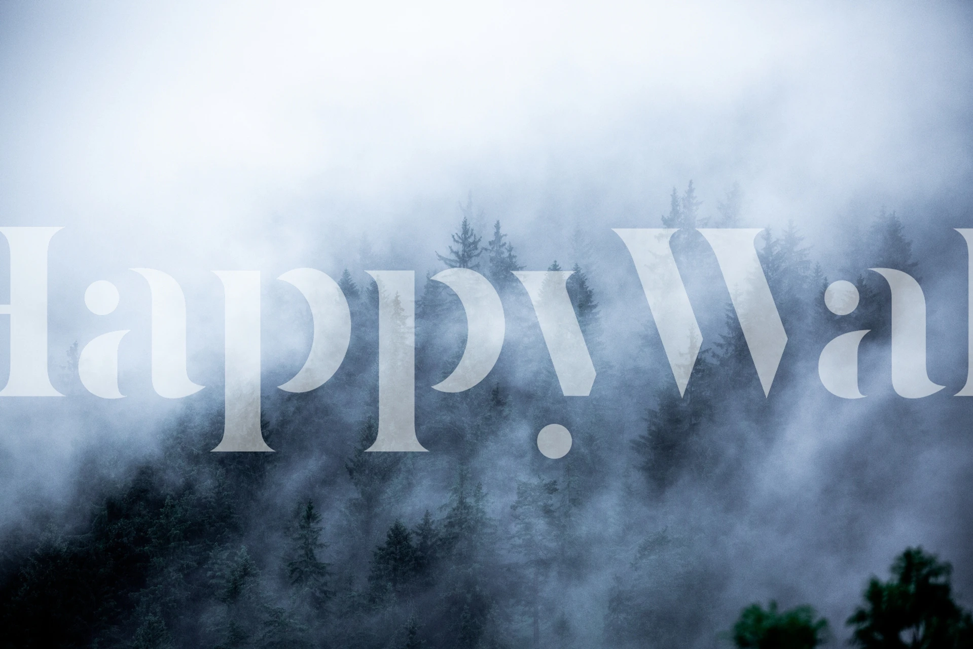 Foggy Woods wallpaper in a stylish room