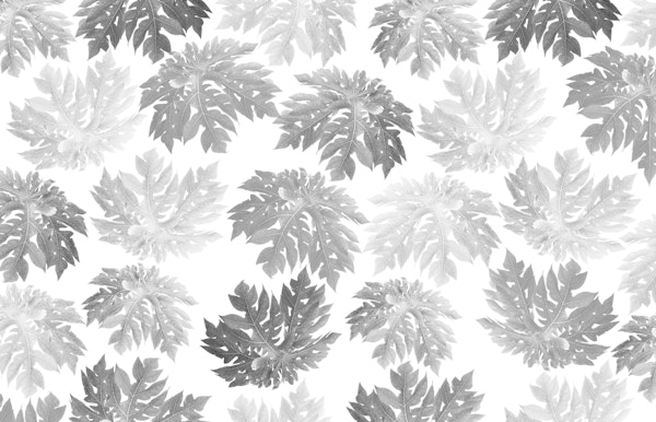 Papaya Leaves Pattern 2