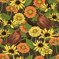 Wrens and flowers on brown papiers peint