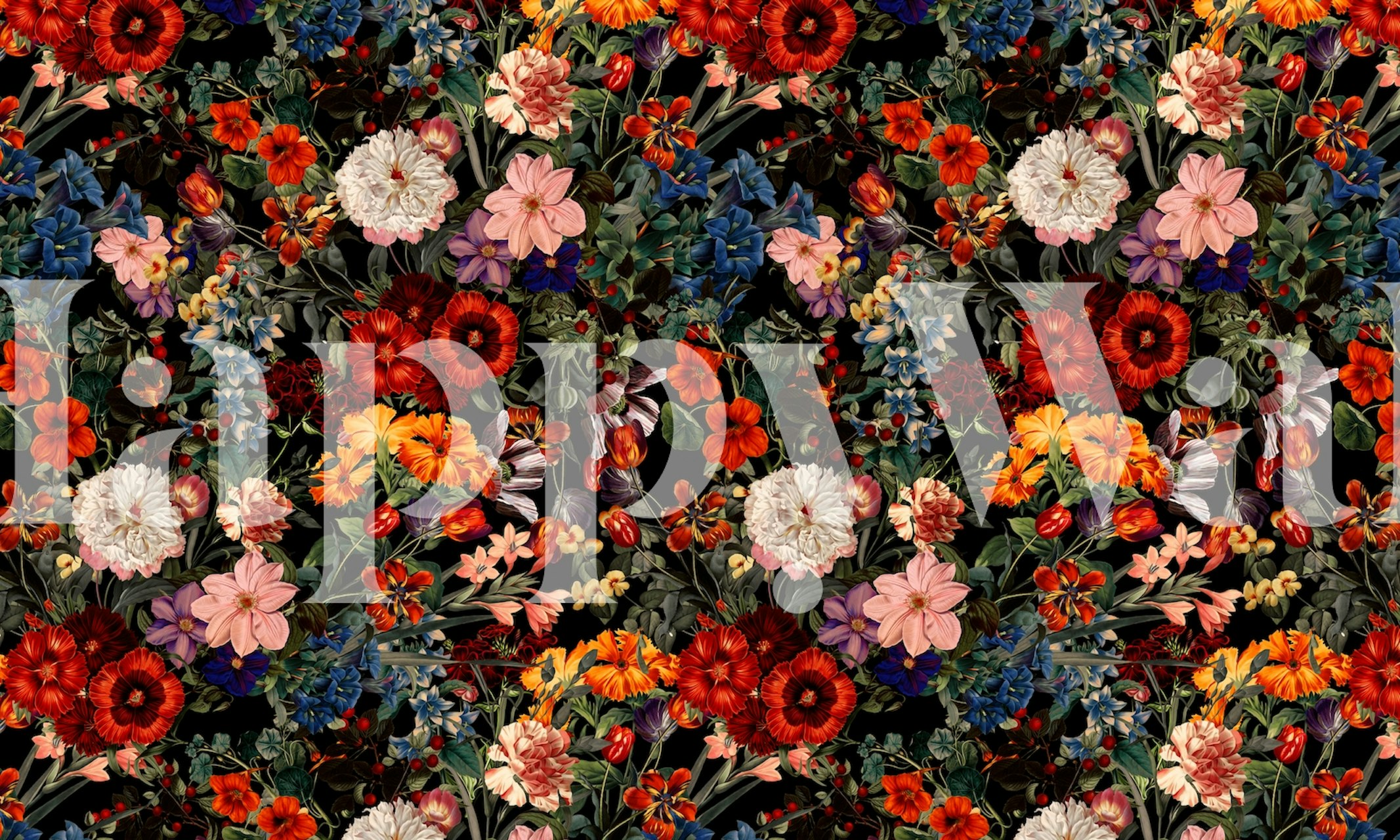 Colorful floral design with red, orange, purple, and blue flowers on a dark background wallpaper