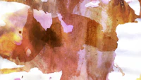 Japanese Wabi Sabi wallpaper