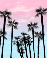 Tropical Palm Trees Dream 4 wallpaper