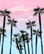Tropical Palm Trees Dream 4