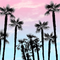 Tropical Palm Trees Dream 4 wallpaper