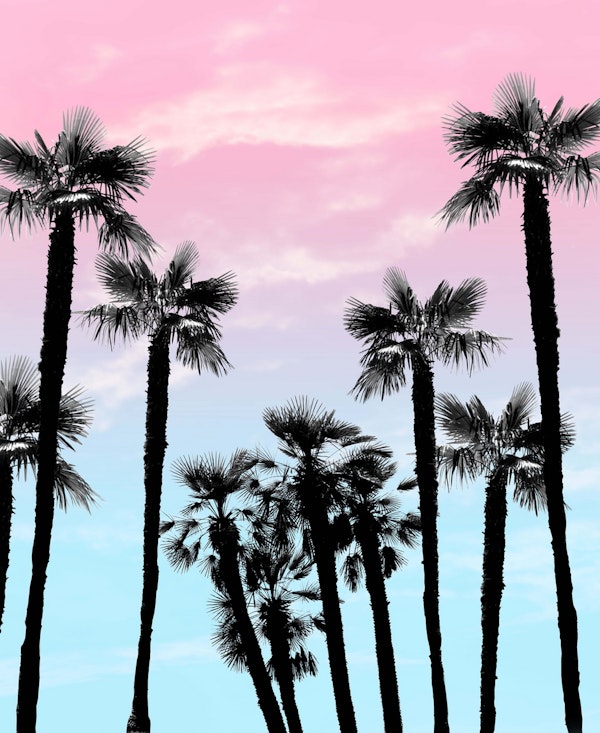 Tropical Palm Trees Dream 4