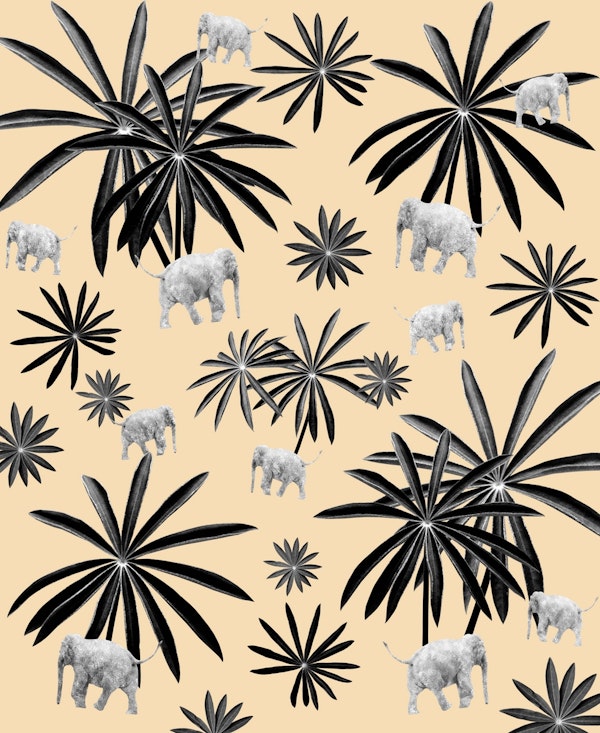 Palm Tree Elephant Jungle 2