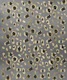 Leopard Animal Print Glam 4