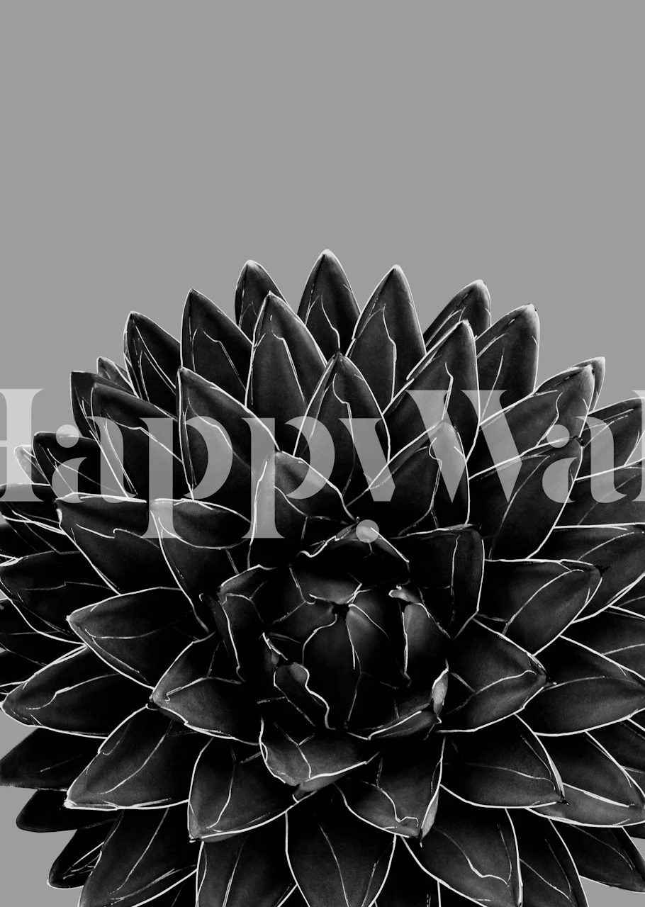 Carta da parati Gray Black Agave Chic in una stanza