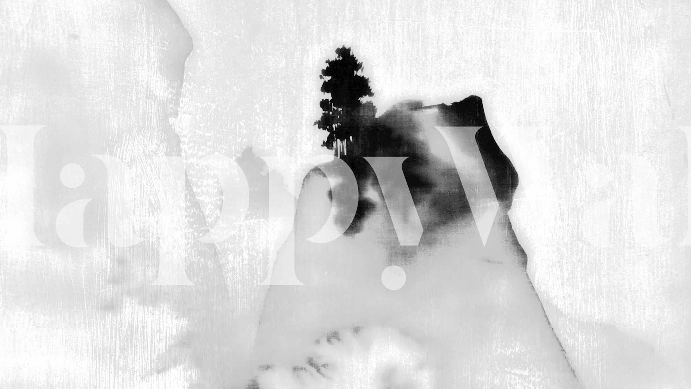 Carta da parati Japanese Pine Tree Mountain Mist Ink in una stanza